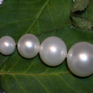 Vit ”south sea white” shell pearl snäckskalspärla, 10 mm
